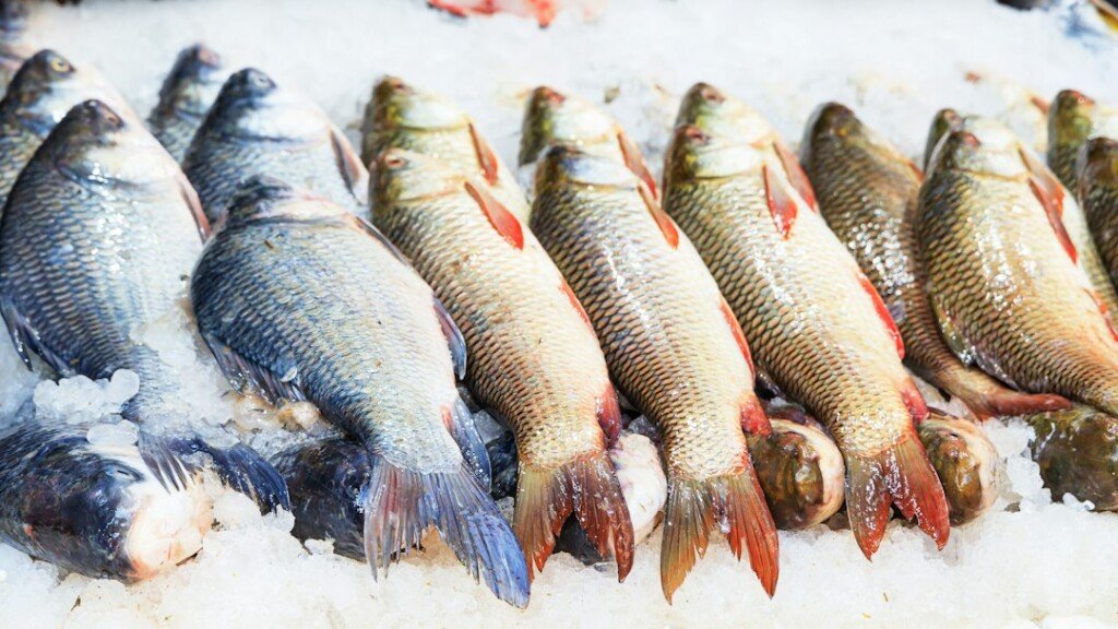 Fresh fish on ice at an Indian fish market