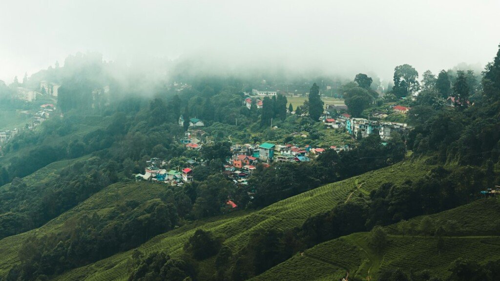 Tea garden in Darjeeling, part of the Darjeeling-Kurseong-Mirik belt pitched at the West Bengal Tourism Investors' Meet 2026