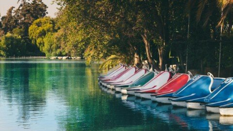 Rowing boats lined up on a park lake, similar to the boating lake at Eco Park Kolkata in New Town