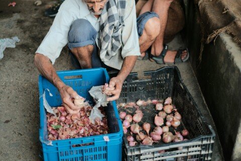 Vendor picking onions from a crate at a vegetable market, representing buffer stock onions sold at Rs 35 a kg in Kolkata