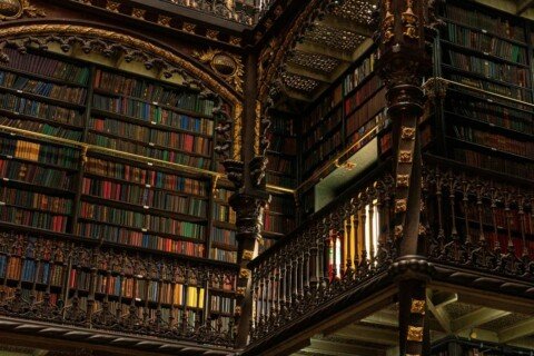Library reading room with tall bookshelves, representing libraries in Kolkata for students
